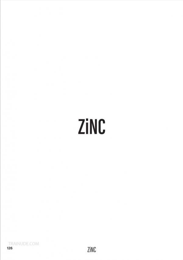 ZiNC-01--The-Intern--EbookVideo-